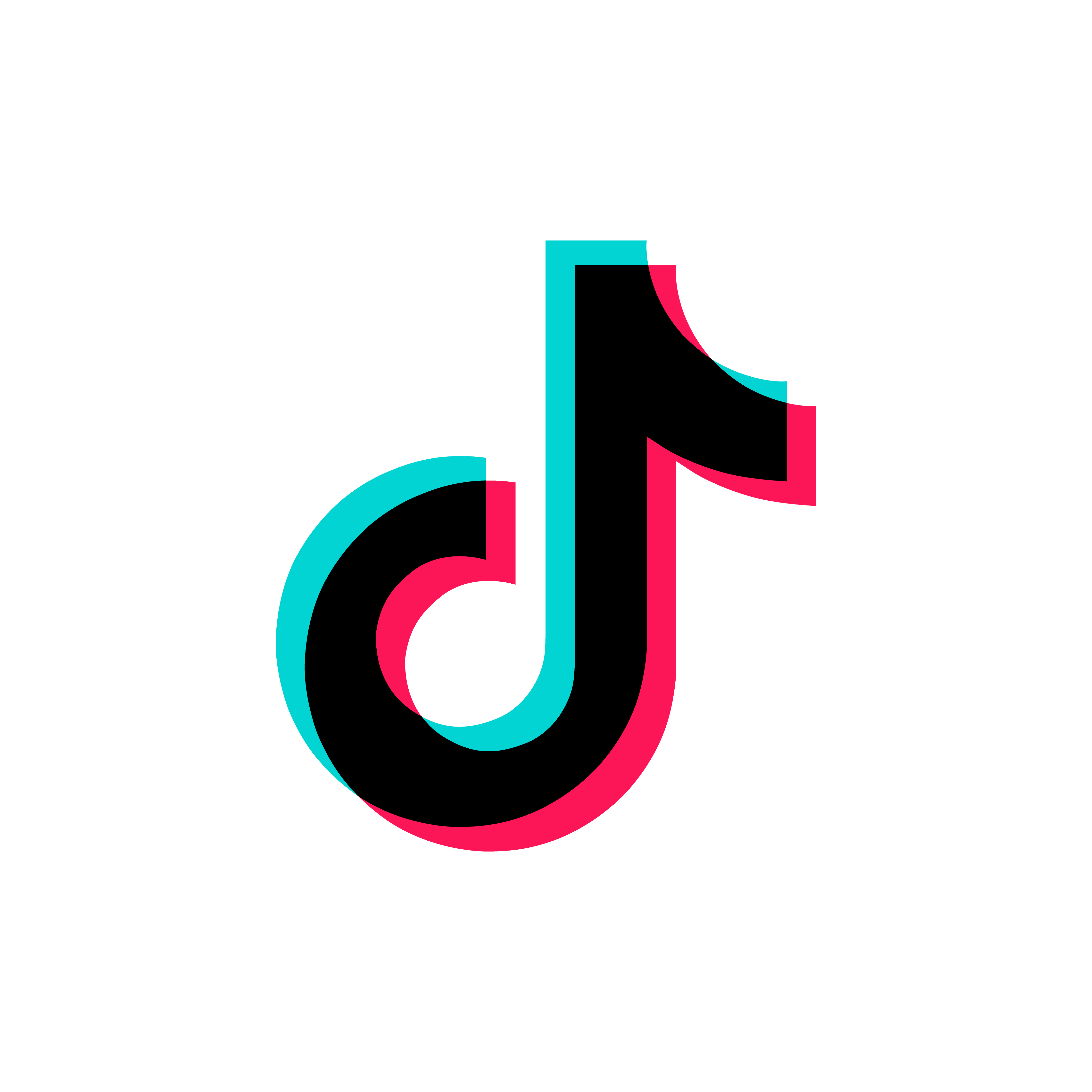 TikTok Services